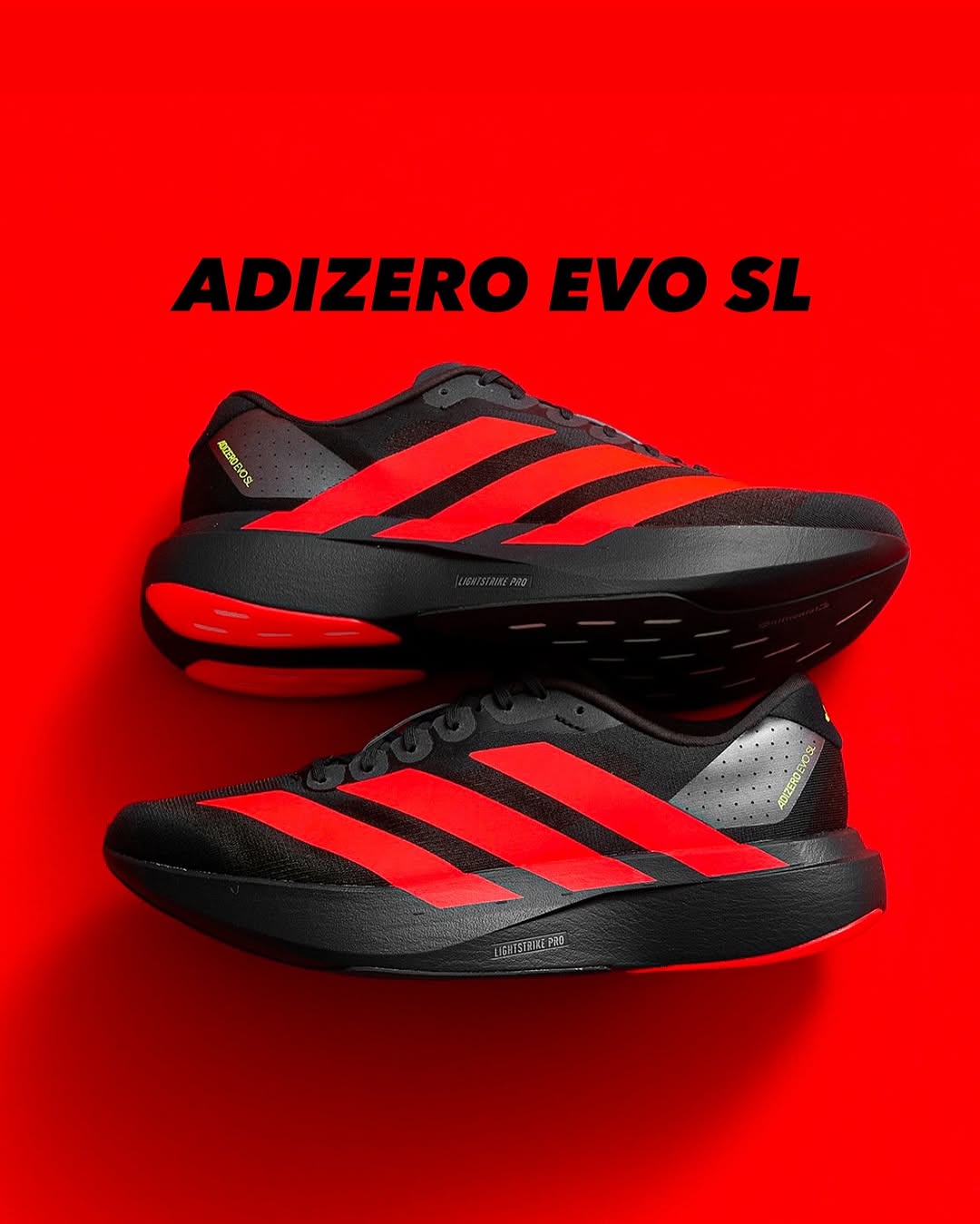 Shoe 42
